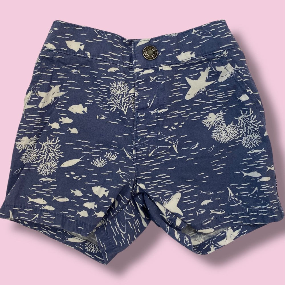 Carters Shorts 6m