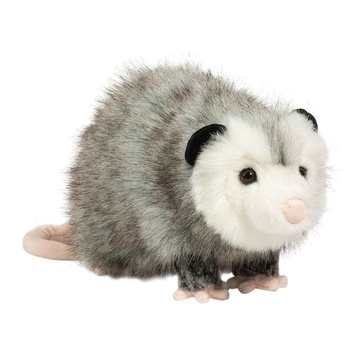 Douglas Ozzy Possum