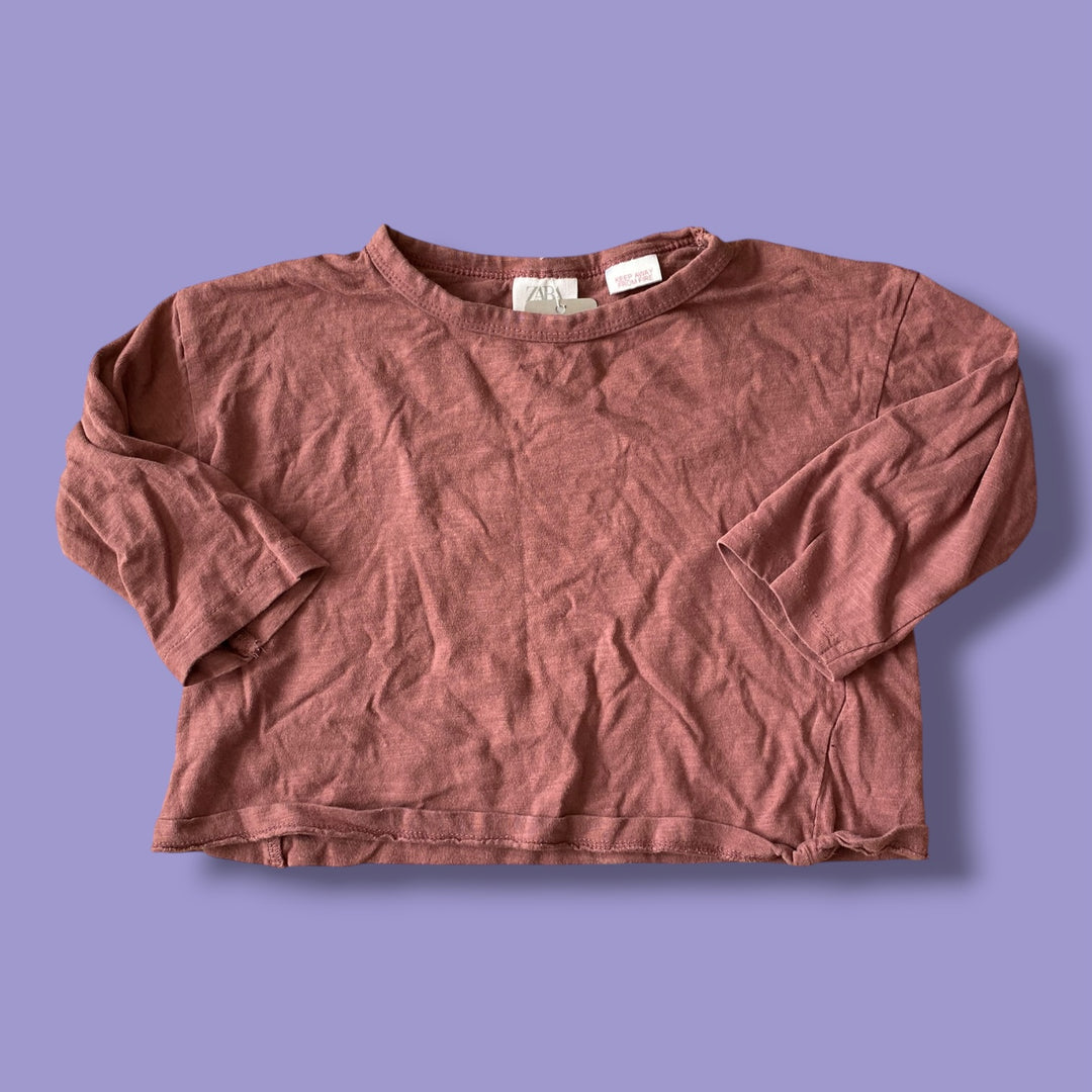 Pink Zara Long Sleeve, 2-3Y