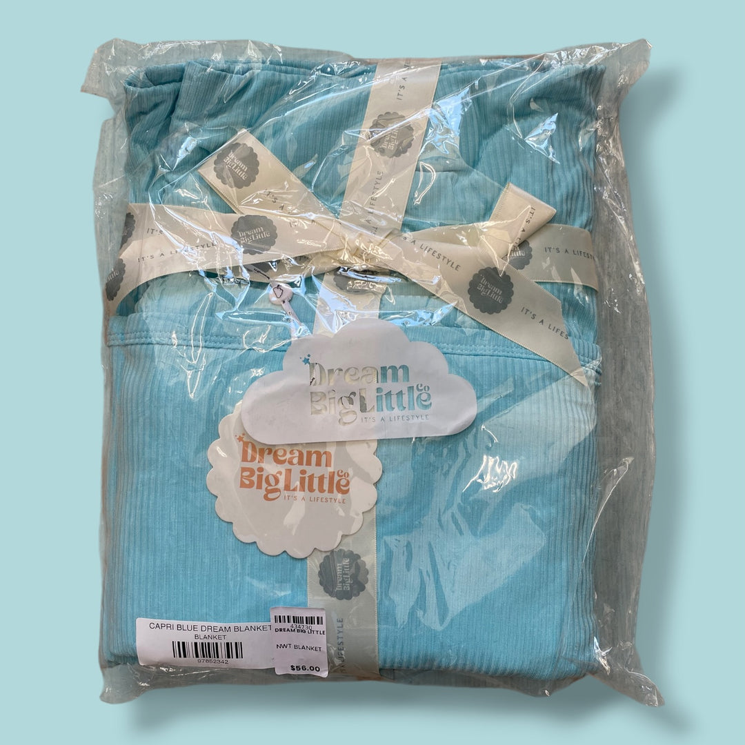 Dream Big Little NWT Blanket