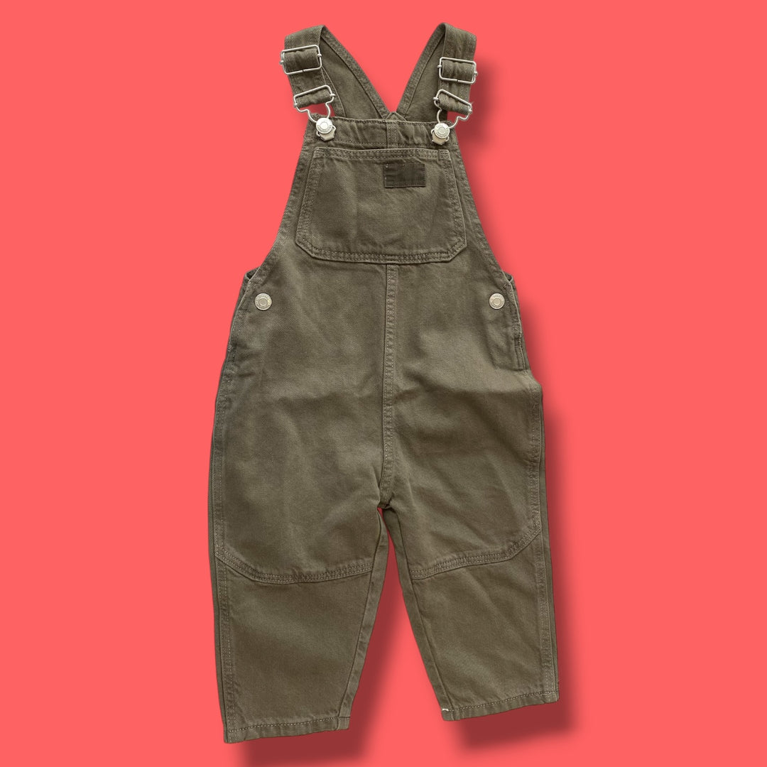 Brown Zara NWT, 12-18m