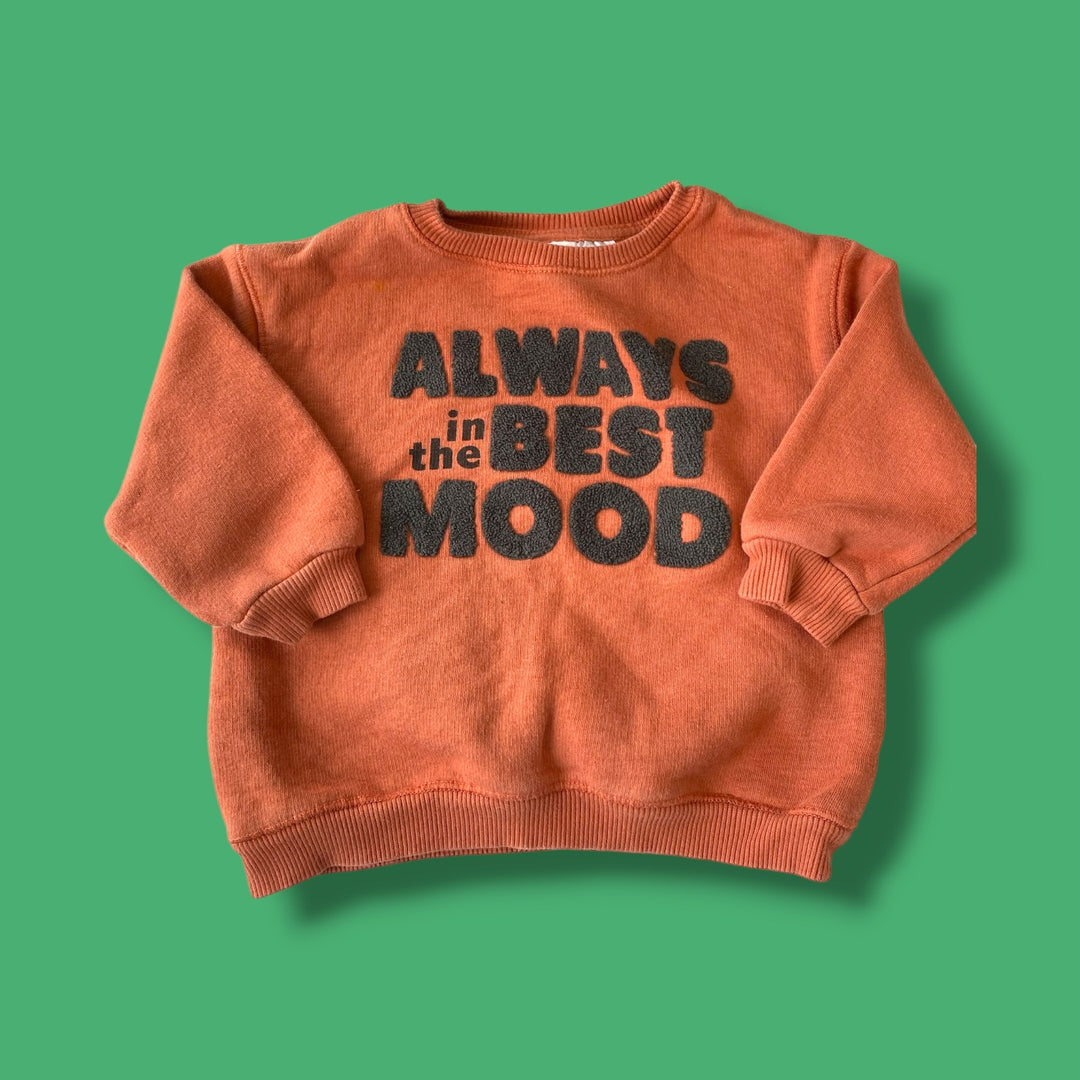 Orange Zara Sweater, 12-18m