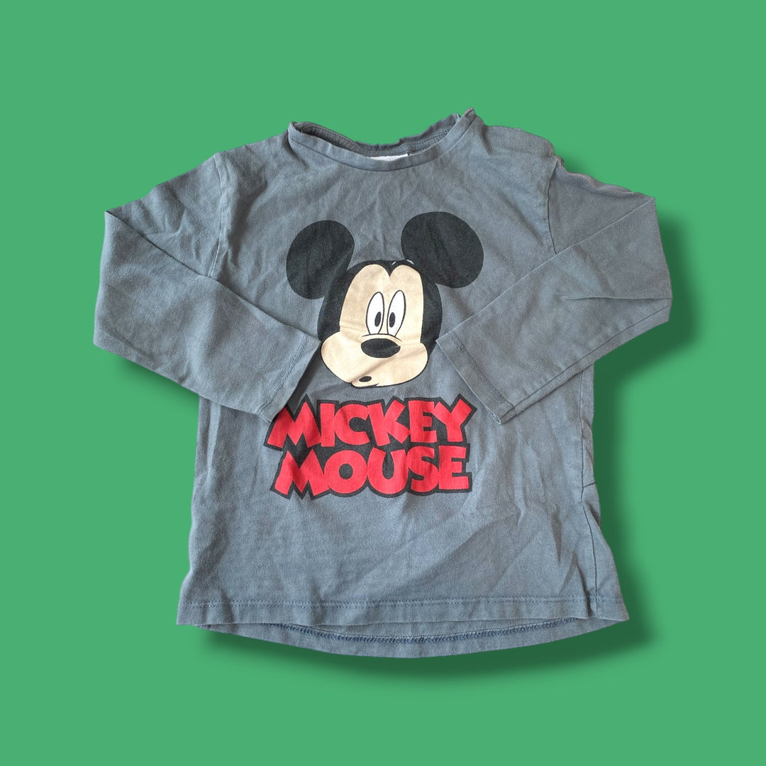 Grey Zara long sleeve, 2-3Y