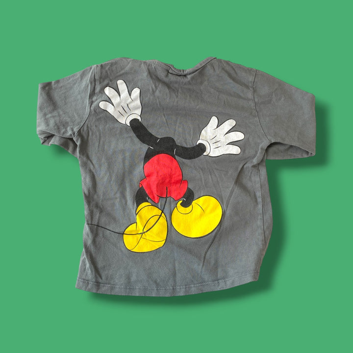 Grey Zara long sleeve, 2-3Y