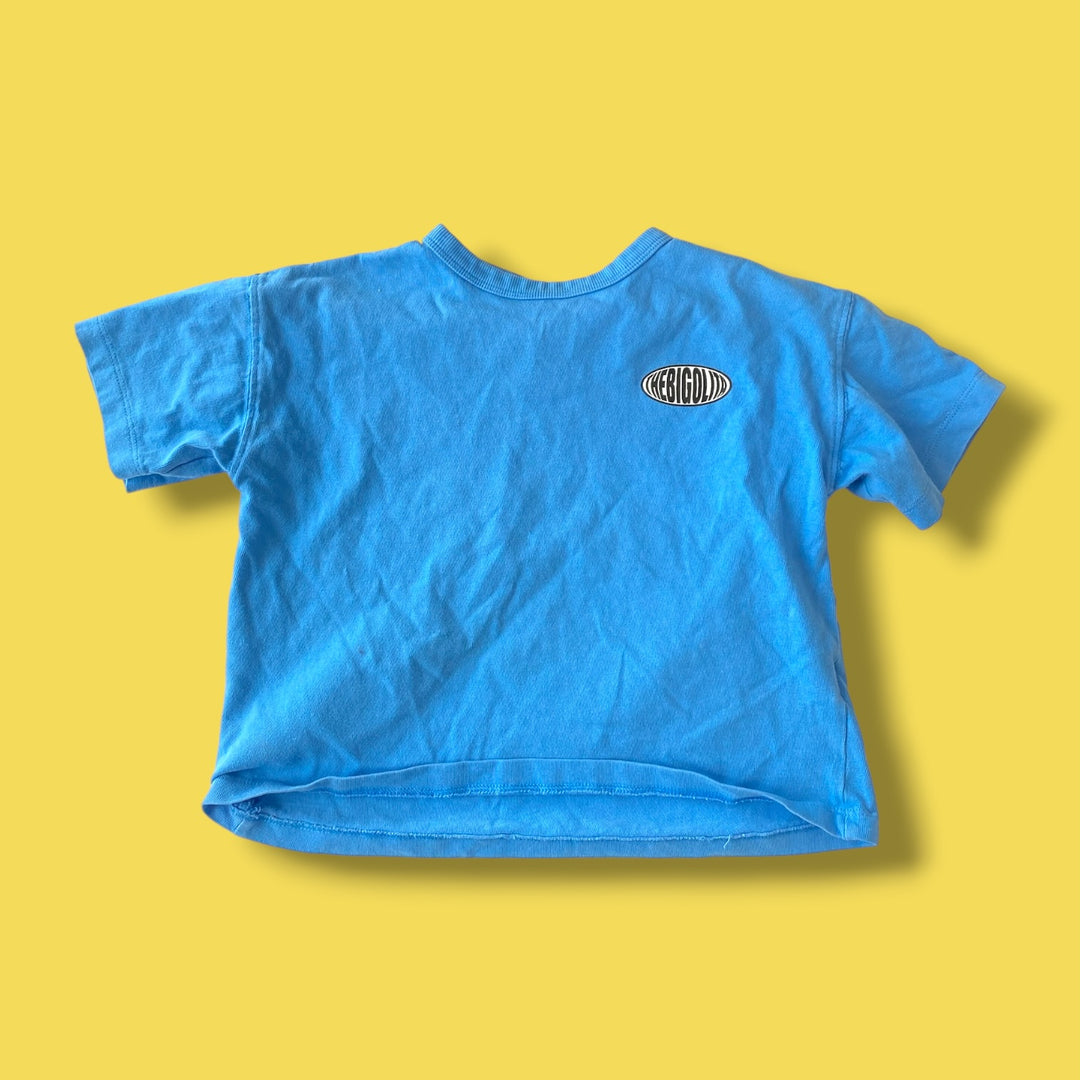 blue zara t-shirt, 4y