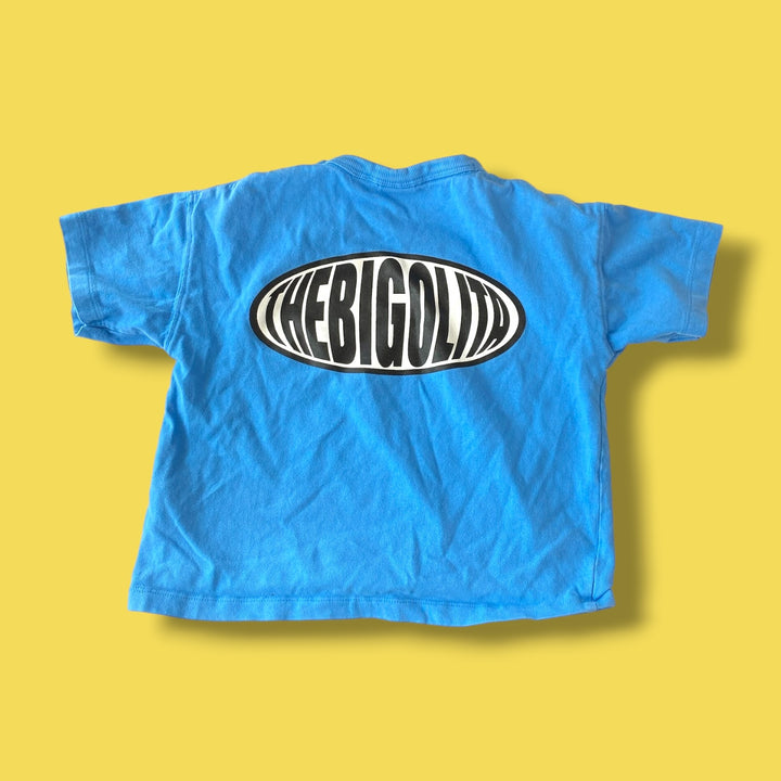 blue zara t-shirt, 4y