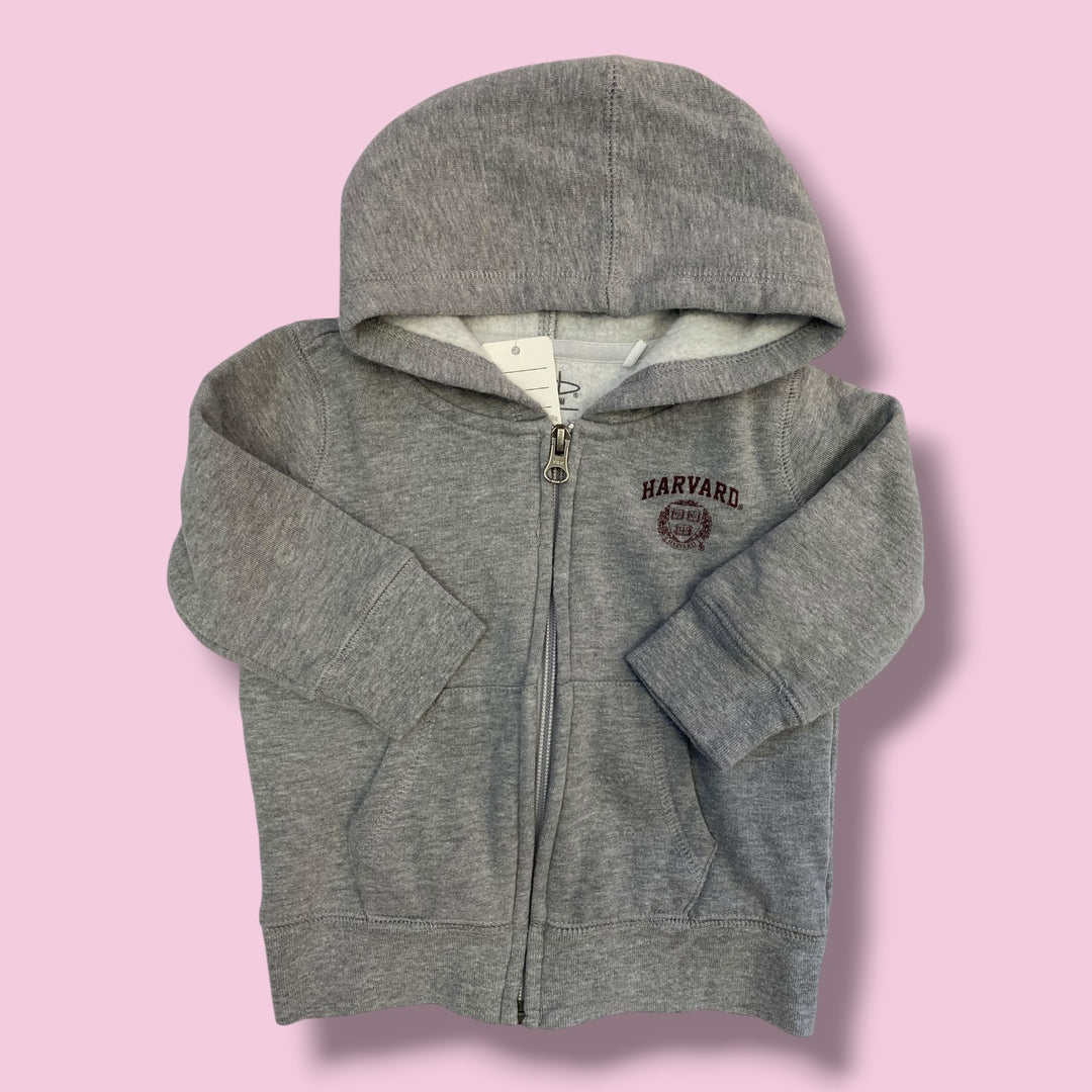 Grey Harvard Zip Up, 12m