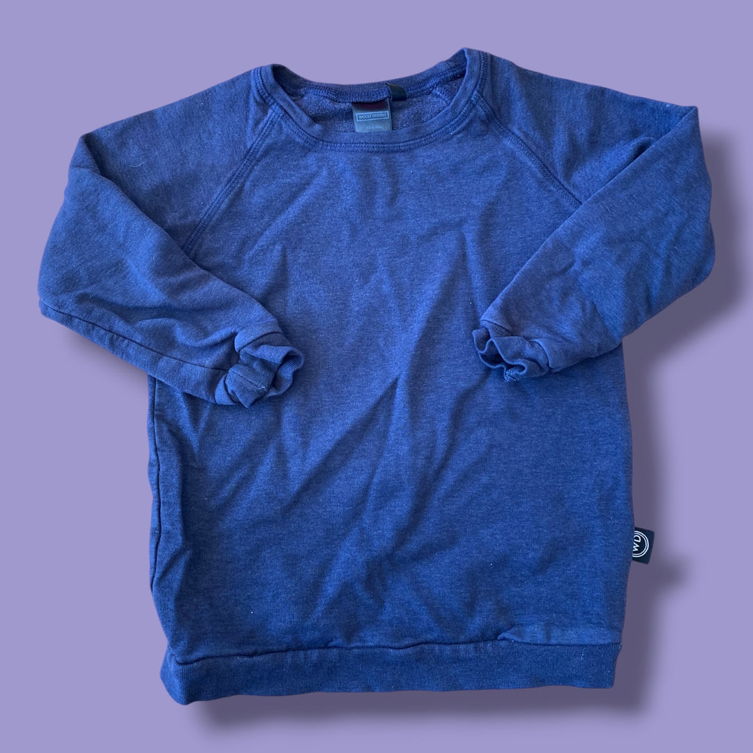 Blue Wooly Doodle Sweater, 2Y