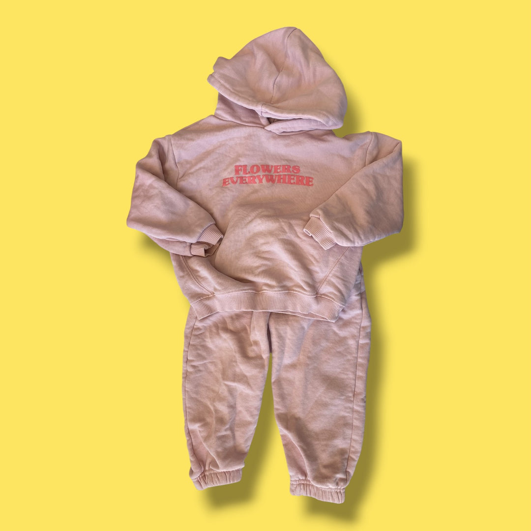 Pink Zara Jogger Set, 2-3Y