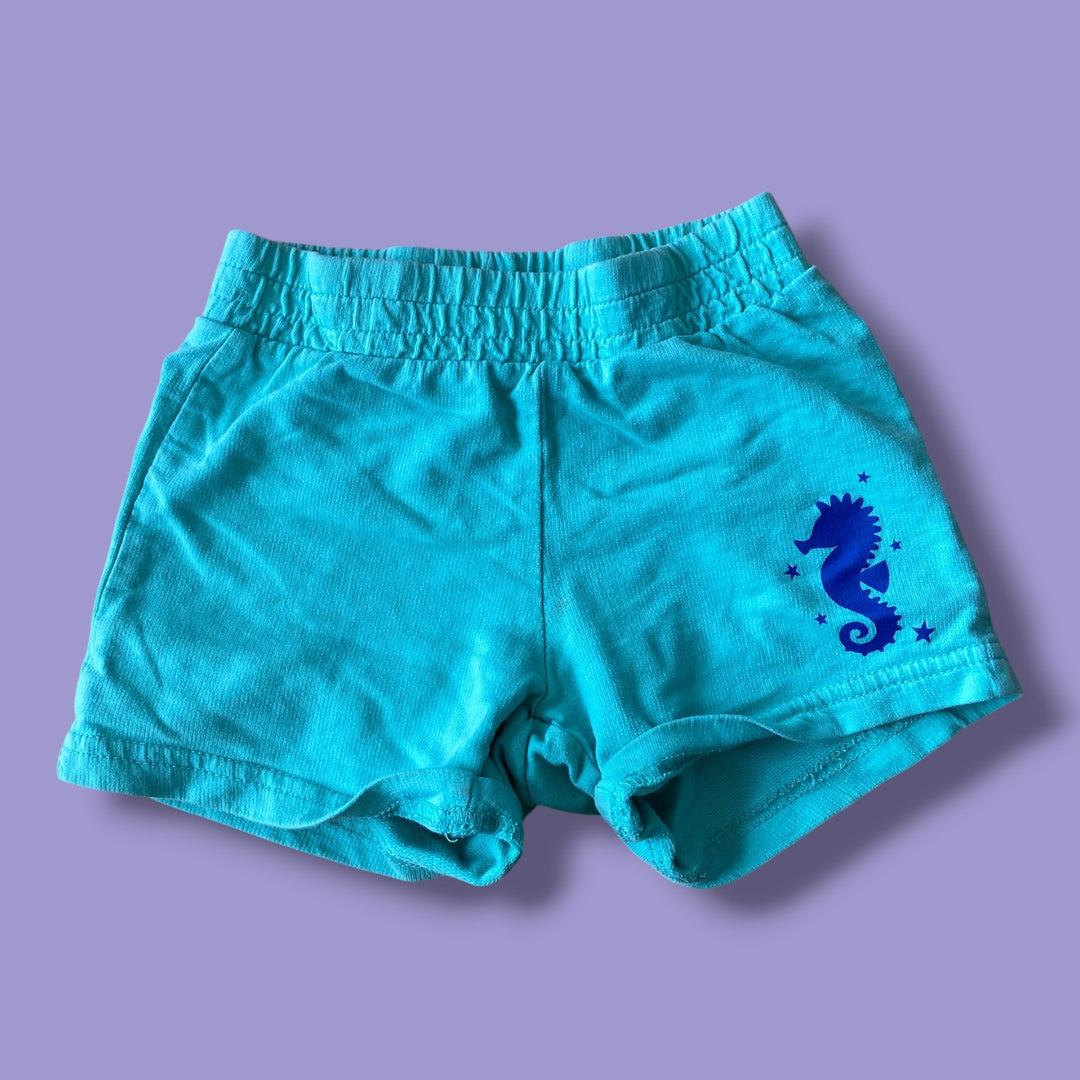 Teal Monkey bars Shorts, 4Y