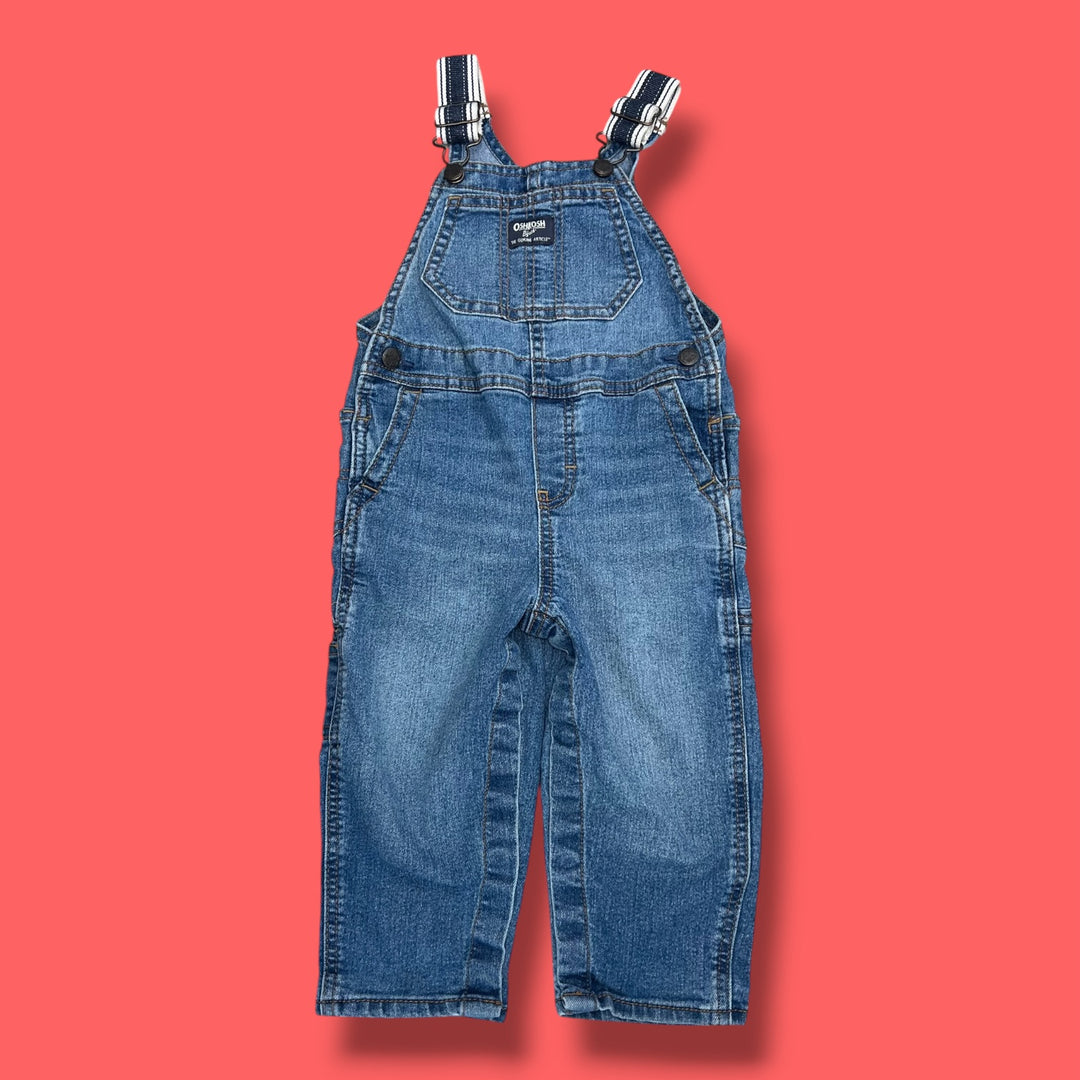 blue oshkosh overalls, 24m