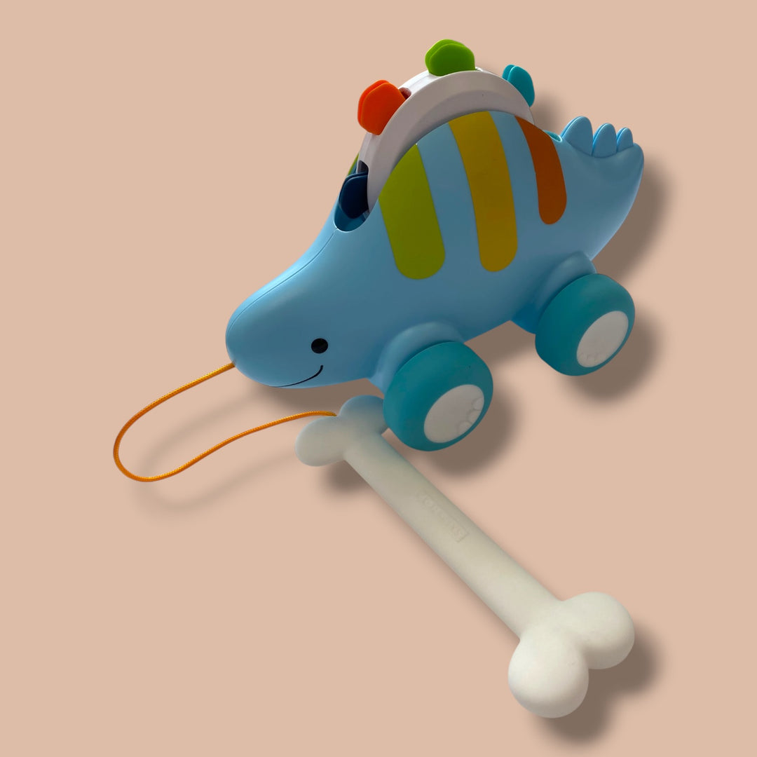 blue  dino pull toy