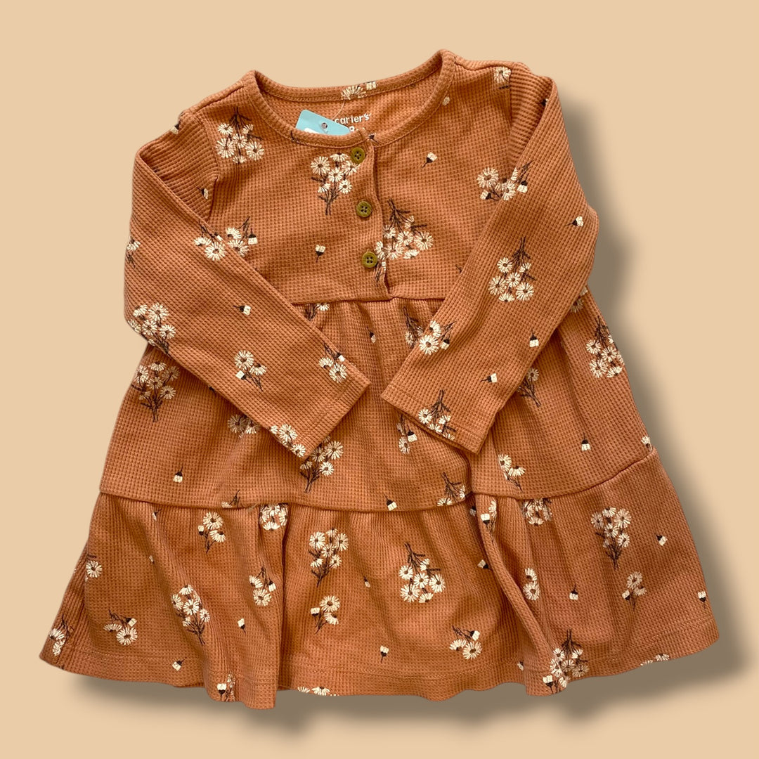 Brown carter Dress, 18m