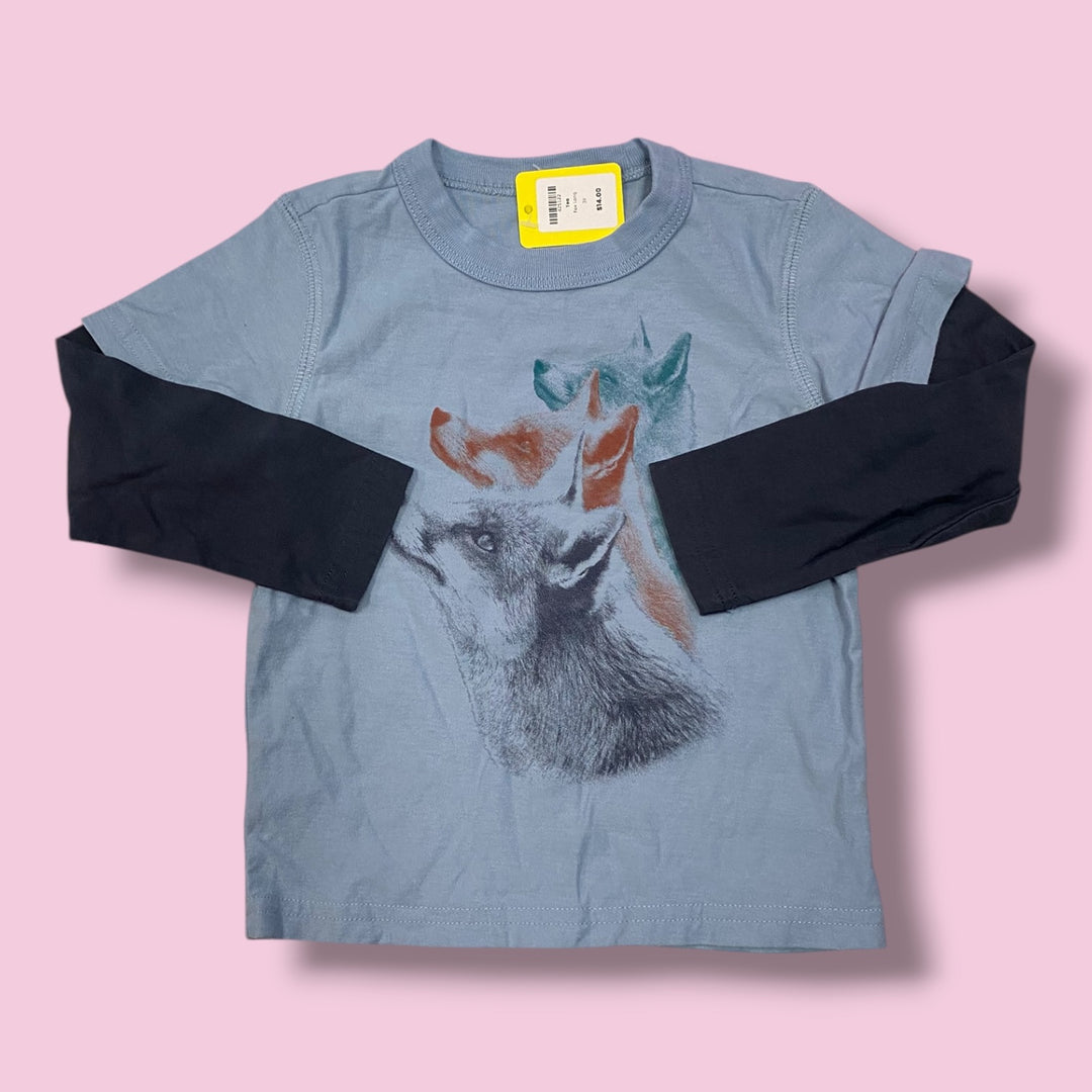 Blue Tea Fox Long, 3Y