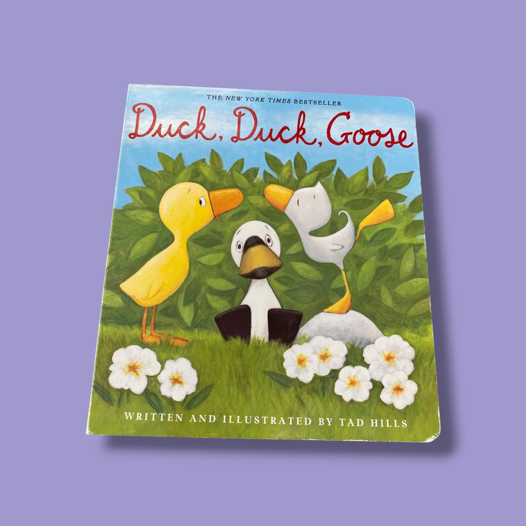 Duck Duck Goose