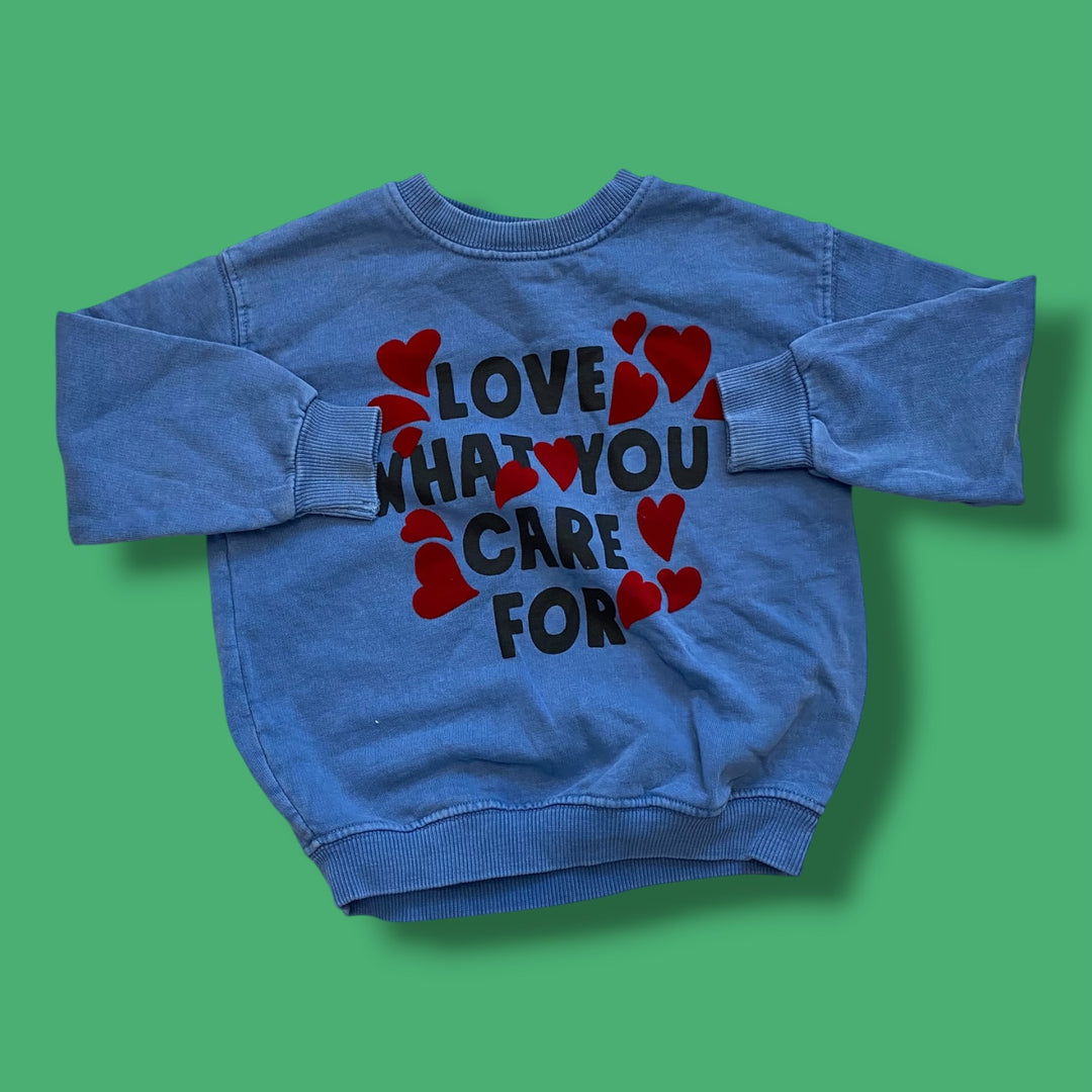 blue Zara love what you care for sweater, 2-3Y