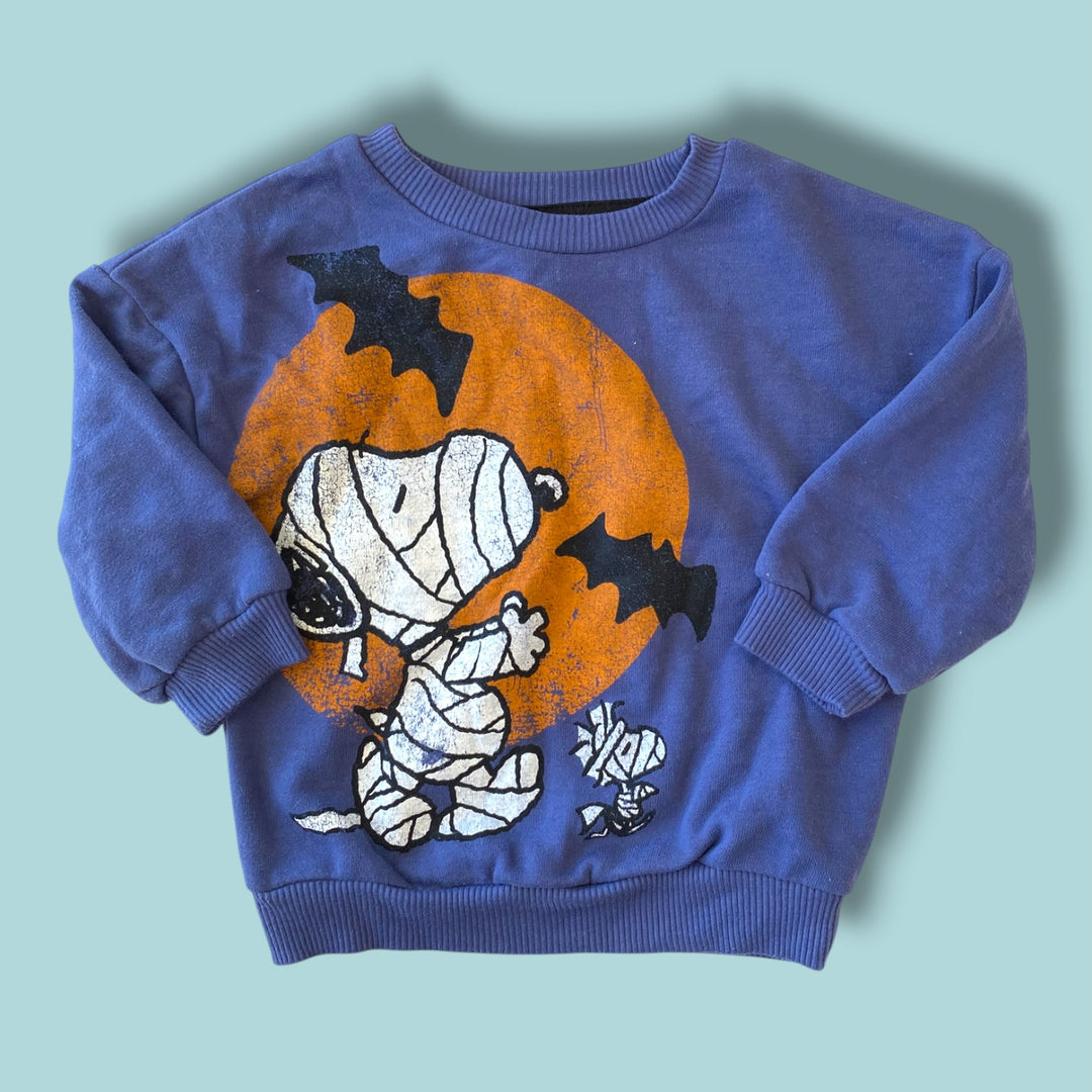 Blue Peanuts Sweater, 18m
