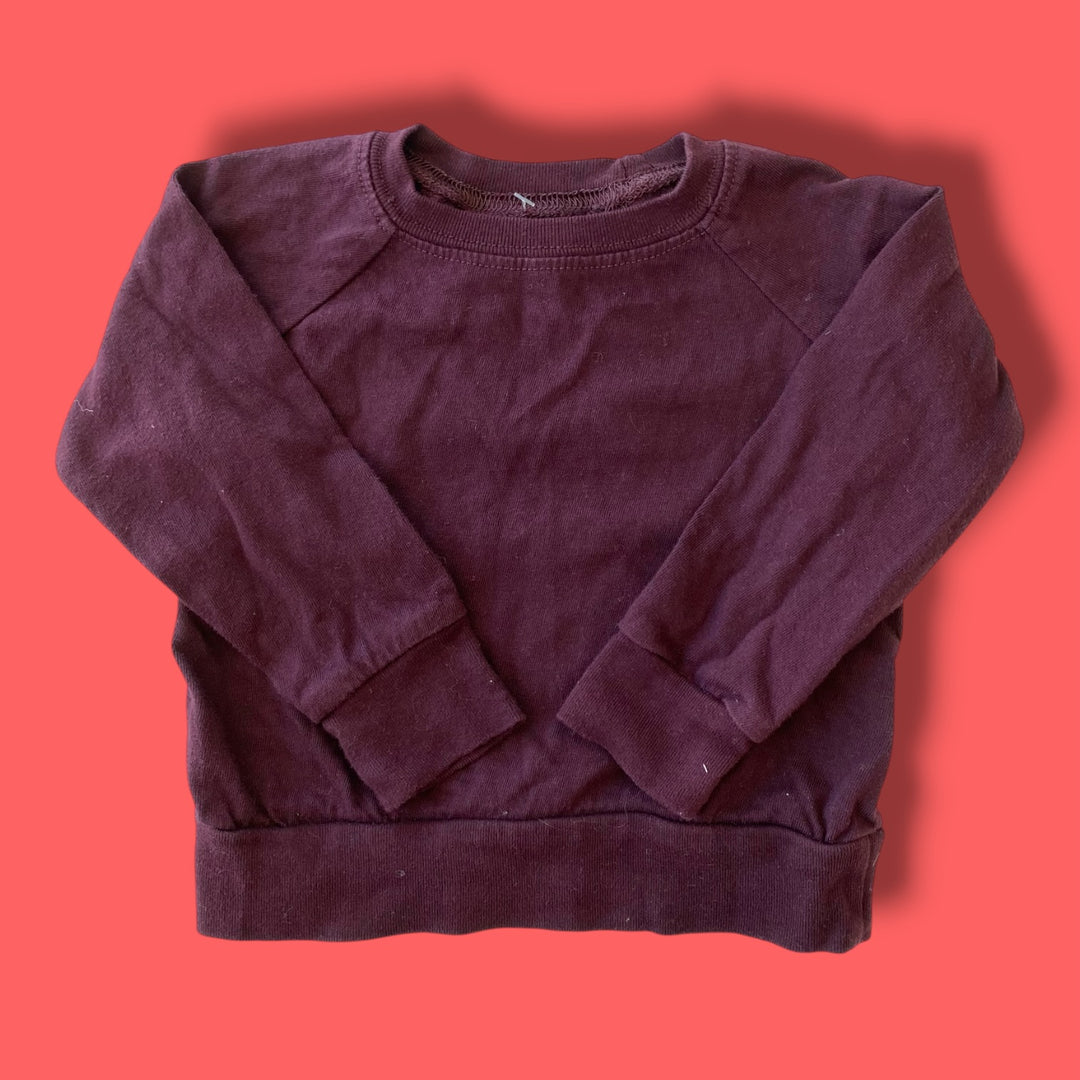 purple mioche long sleeve, 3-6m