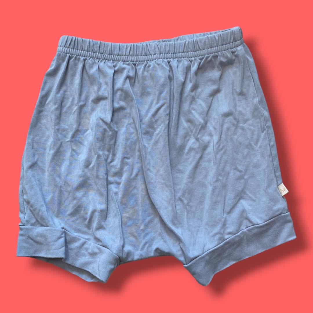 Blue Jax &amp; Lennon Shorts, 3-4Y