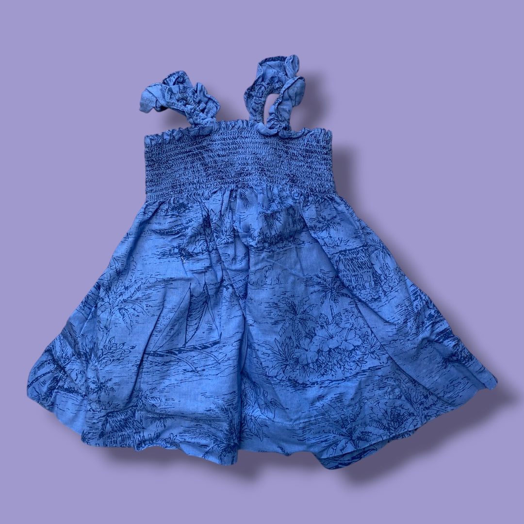 Blue Gap floral dress, 12-18m