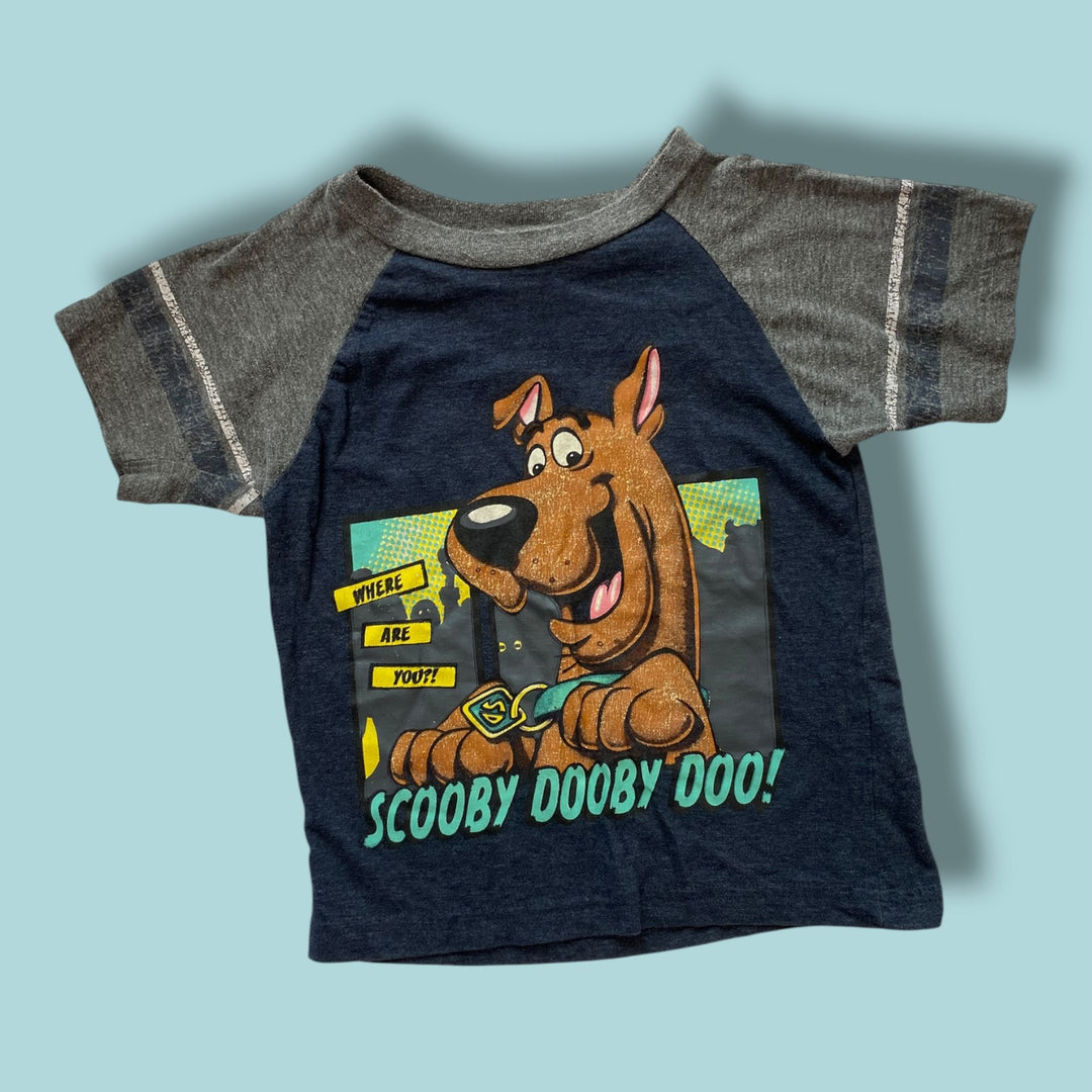 Grey  Scooby Doo, 4y