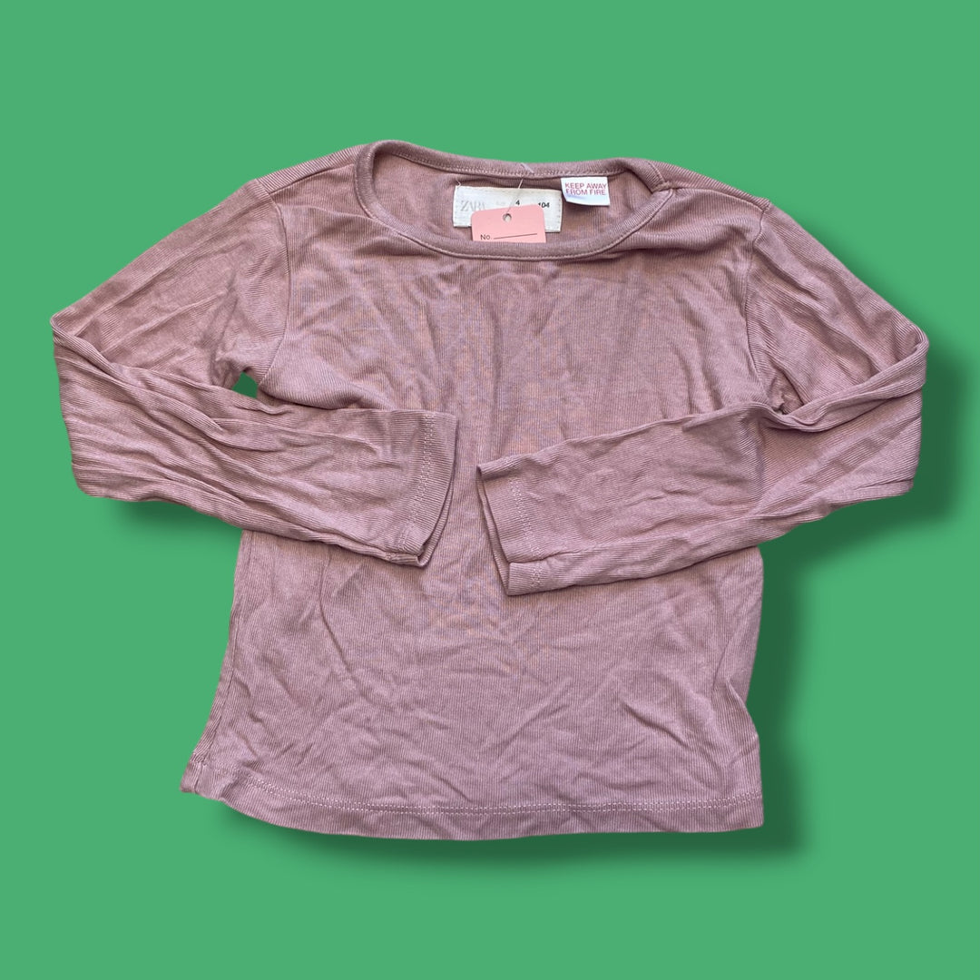 purple zara long sleeve, 4Y