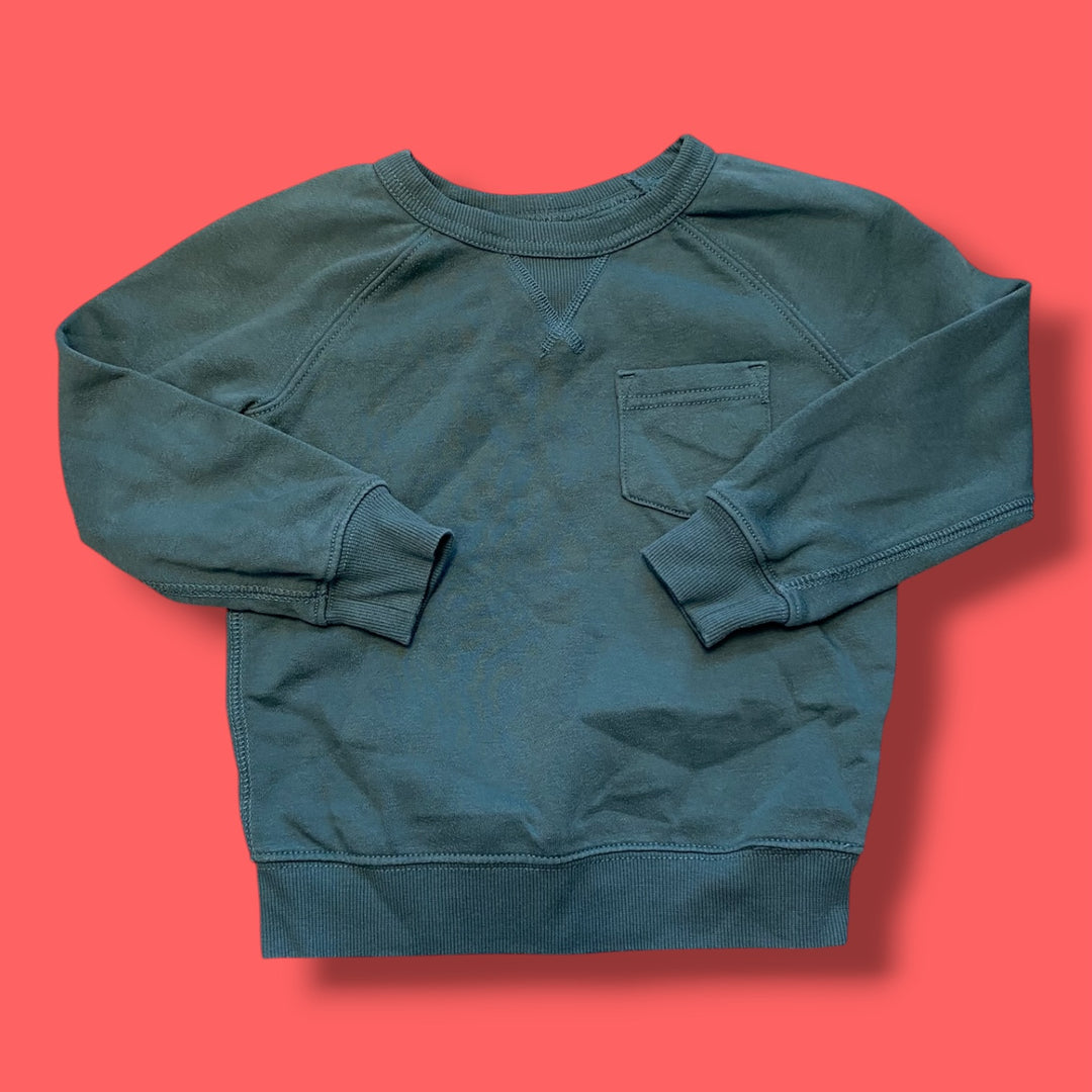green carters sweatshirt, 3t