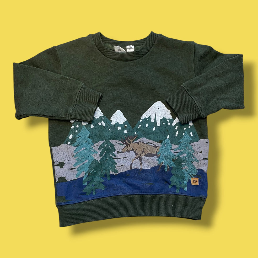 green tentree sweatshirt, 3t