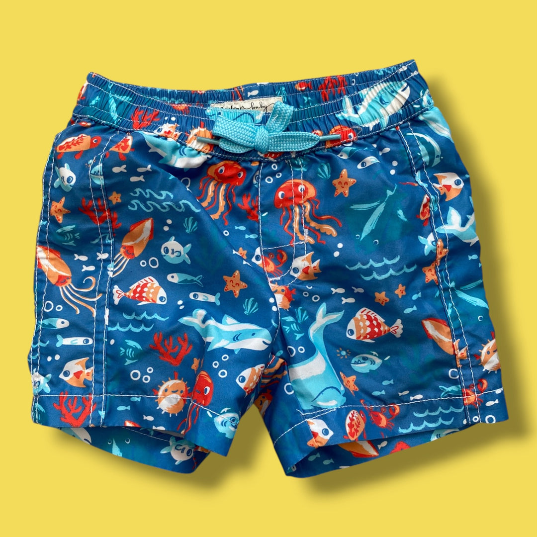 blue Hatley swim trunks, 6-9m