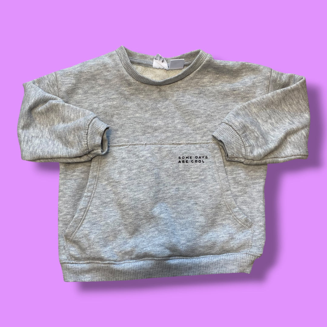 Grey Zara Sweater, 2-3Y