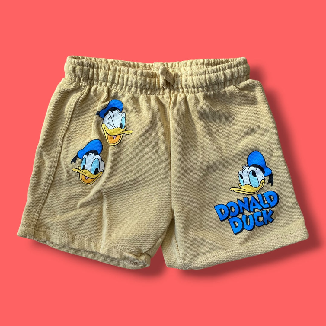 Brown Zara Shorts, 4Y