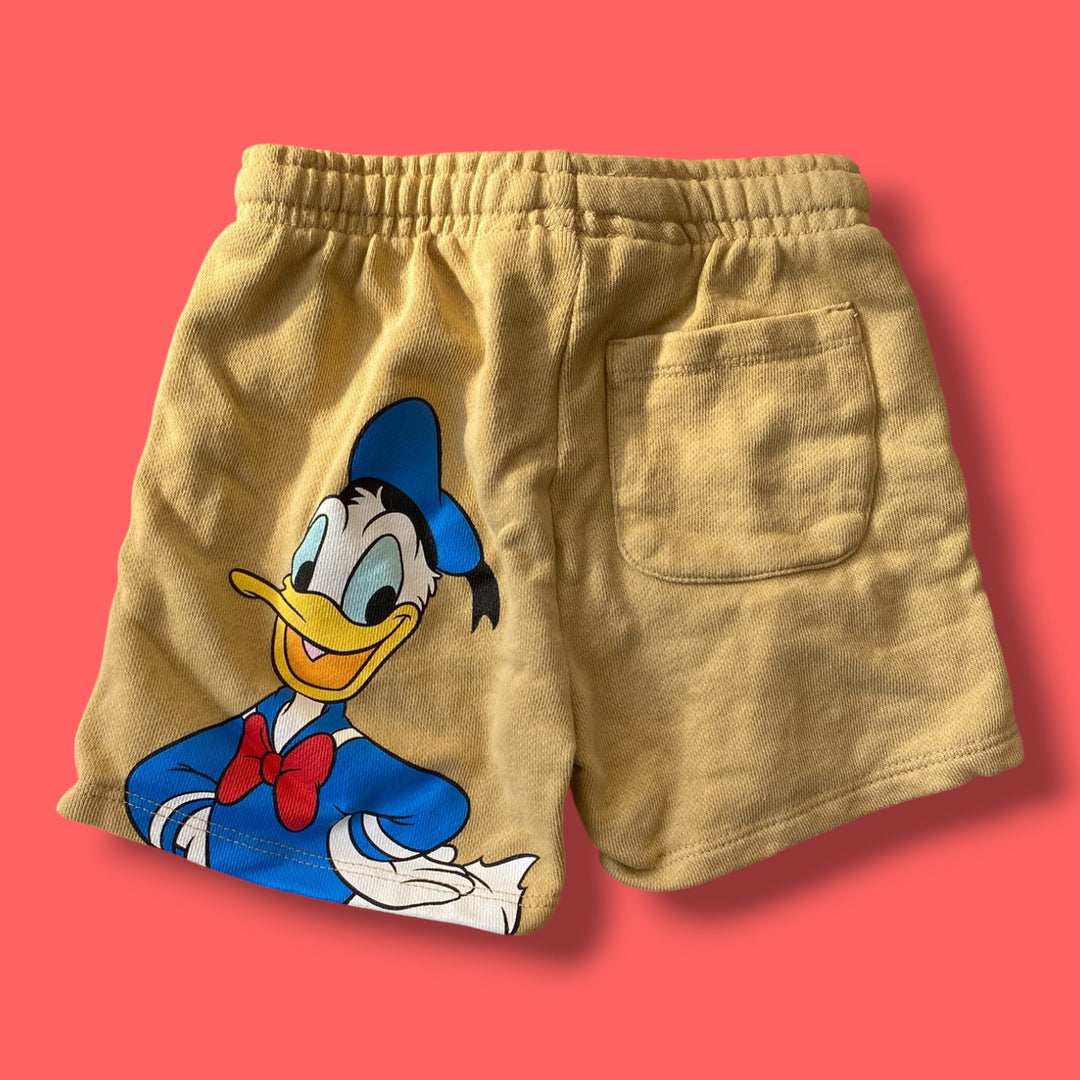 Brown Zara Shorts, 4Y