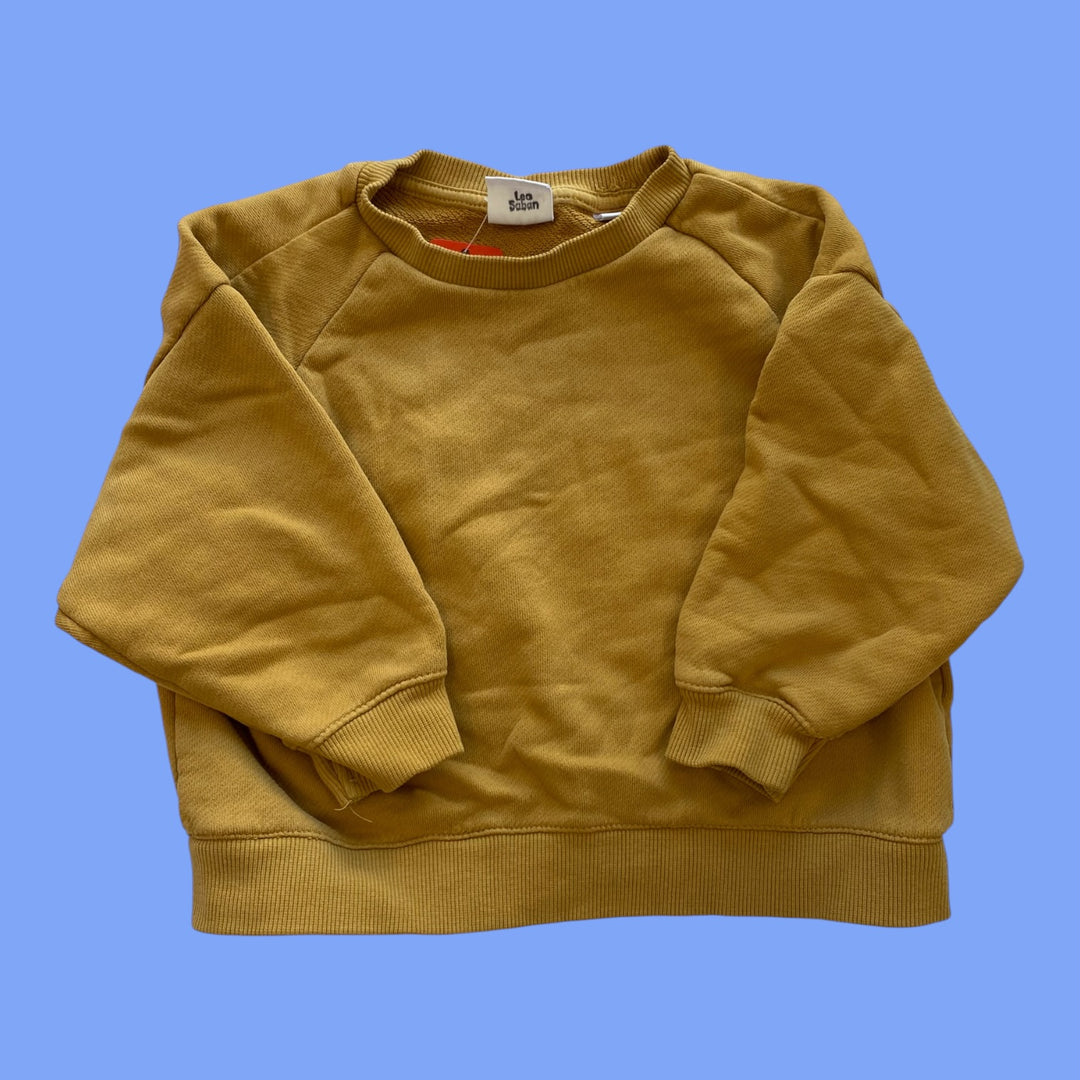 yellow Zara sweatshirt, 2/3y