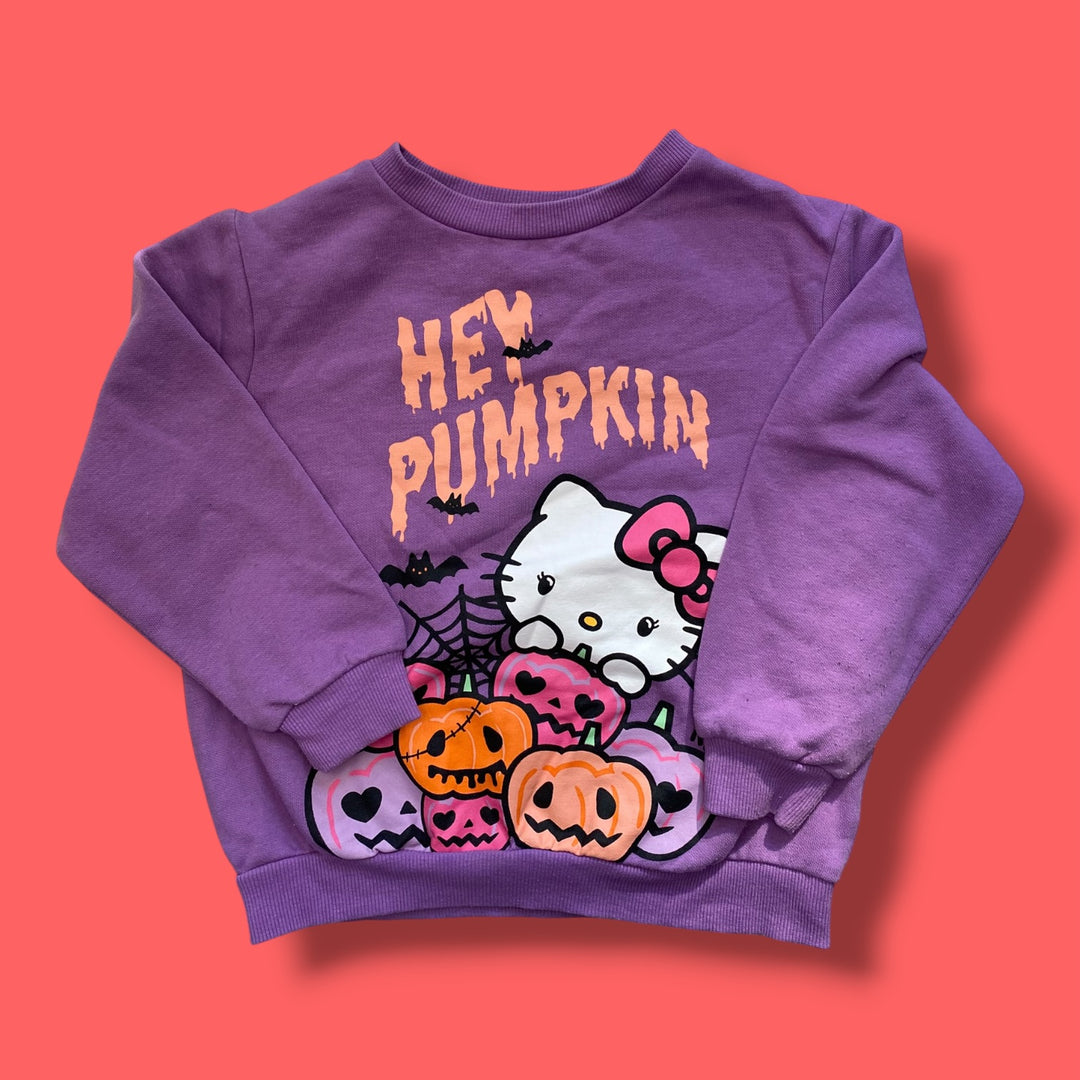 Purple H&amp;M Sweater, 4-6Y
