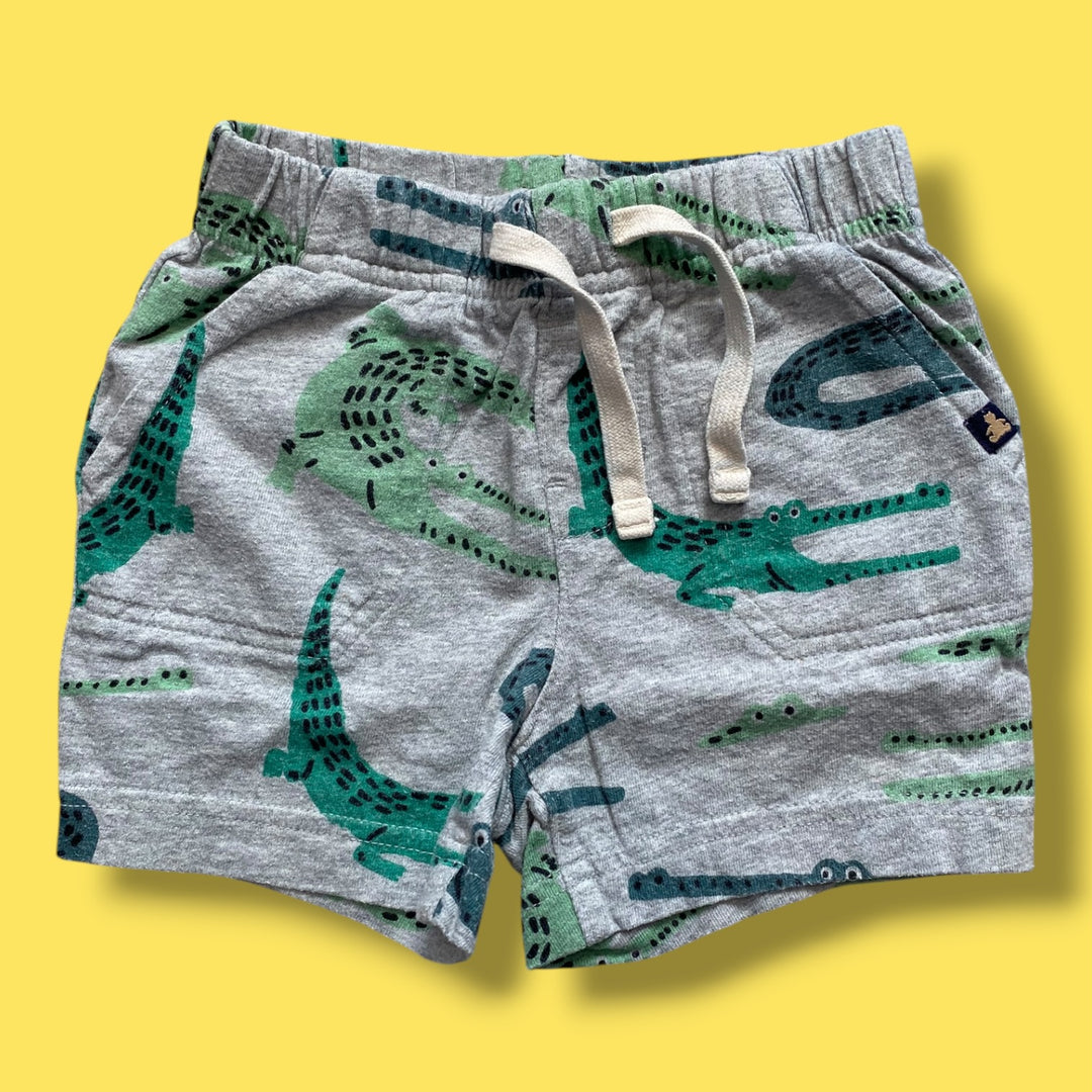 Alligator Gap , 18-24m