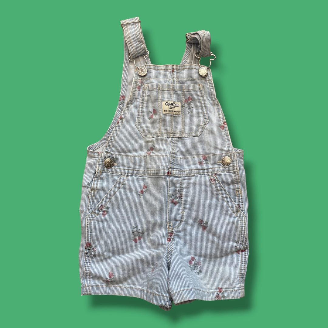 blue Oshkosh striped floral overalls, 2Y