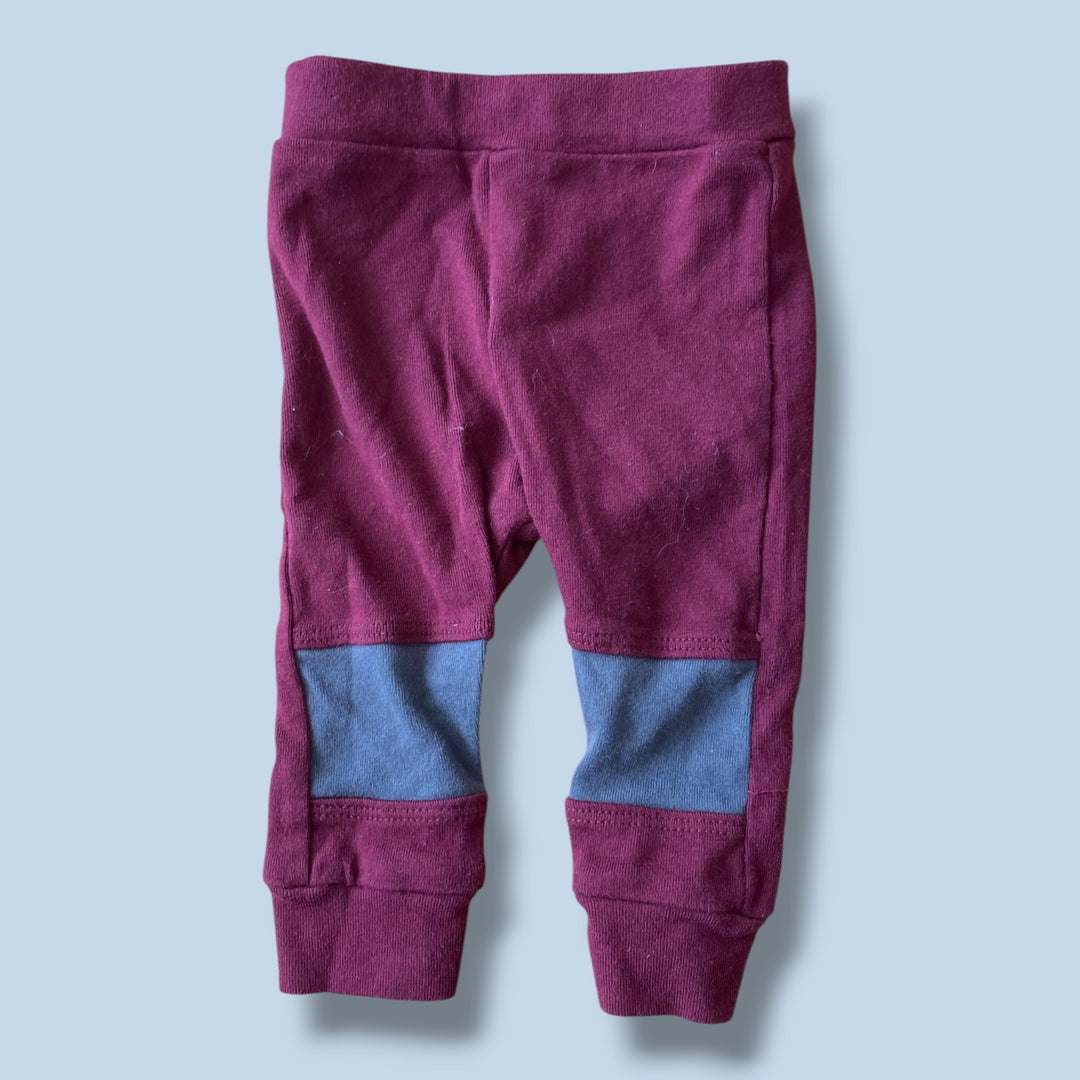 Burgandy Mini Mioche Jogger, 0-3