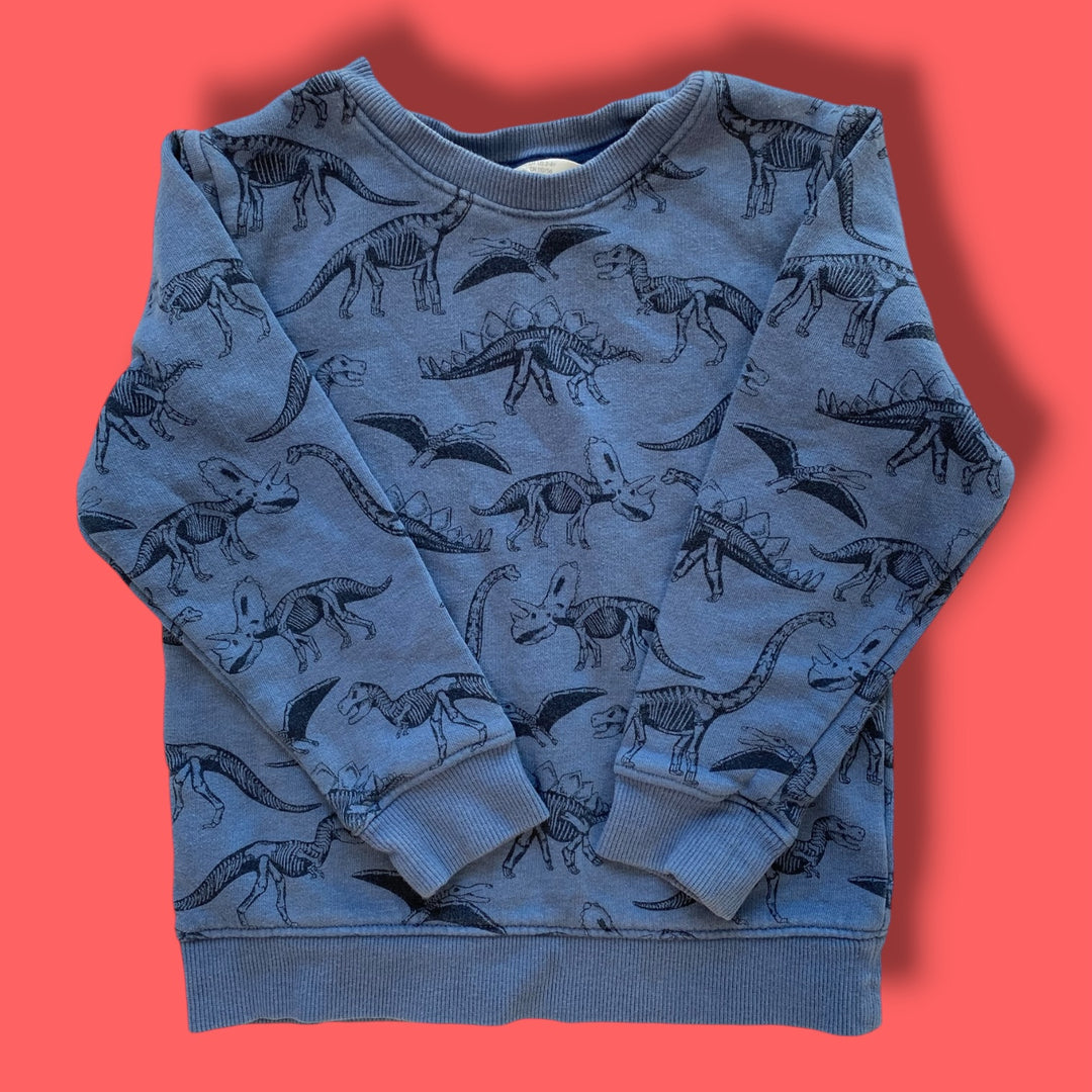 blue H&amp;M dino sweater, 2-4Y