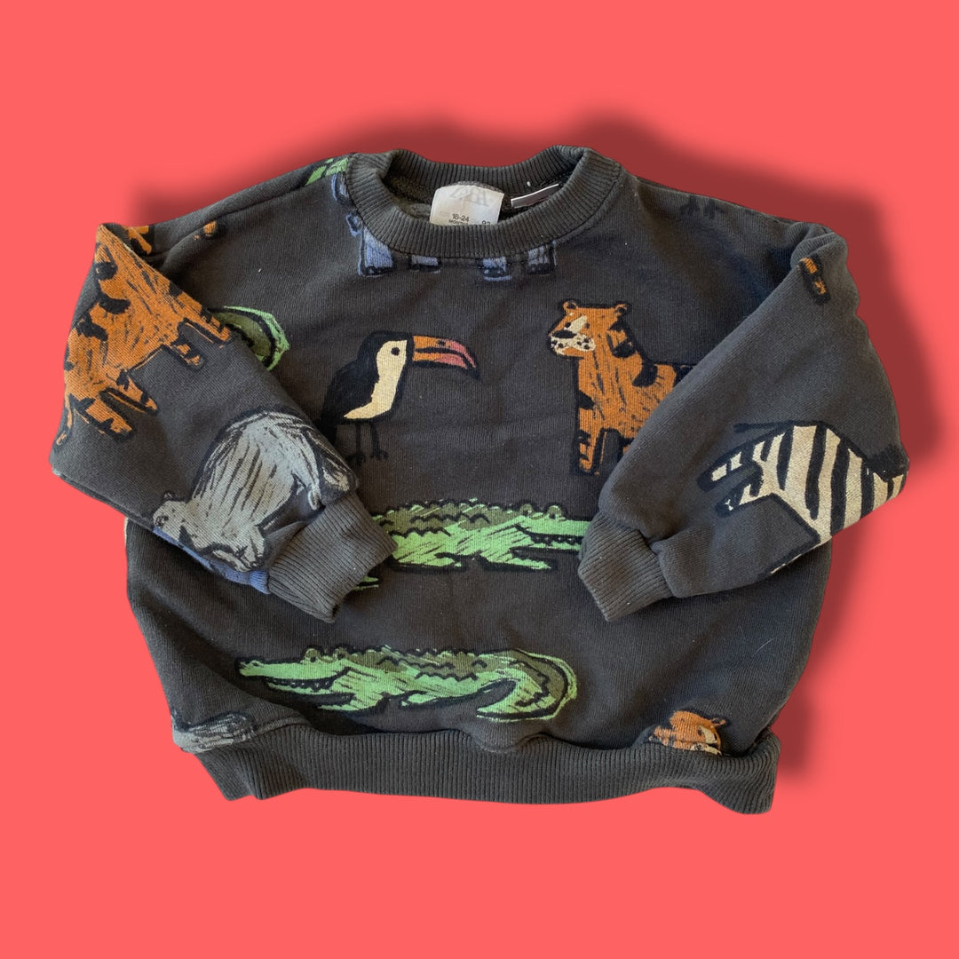black Zara as is- marks safari sweater, 18-24m