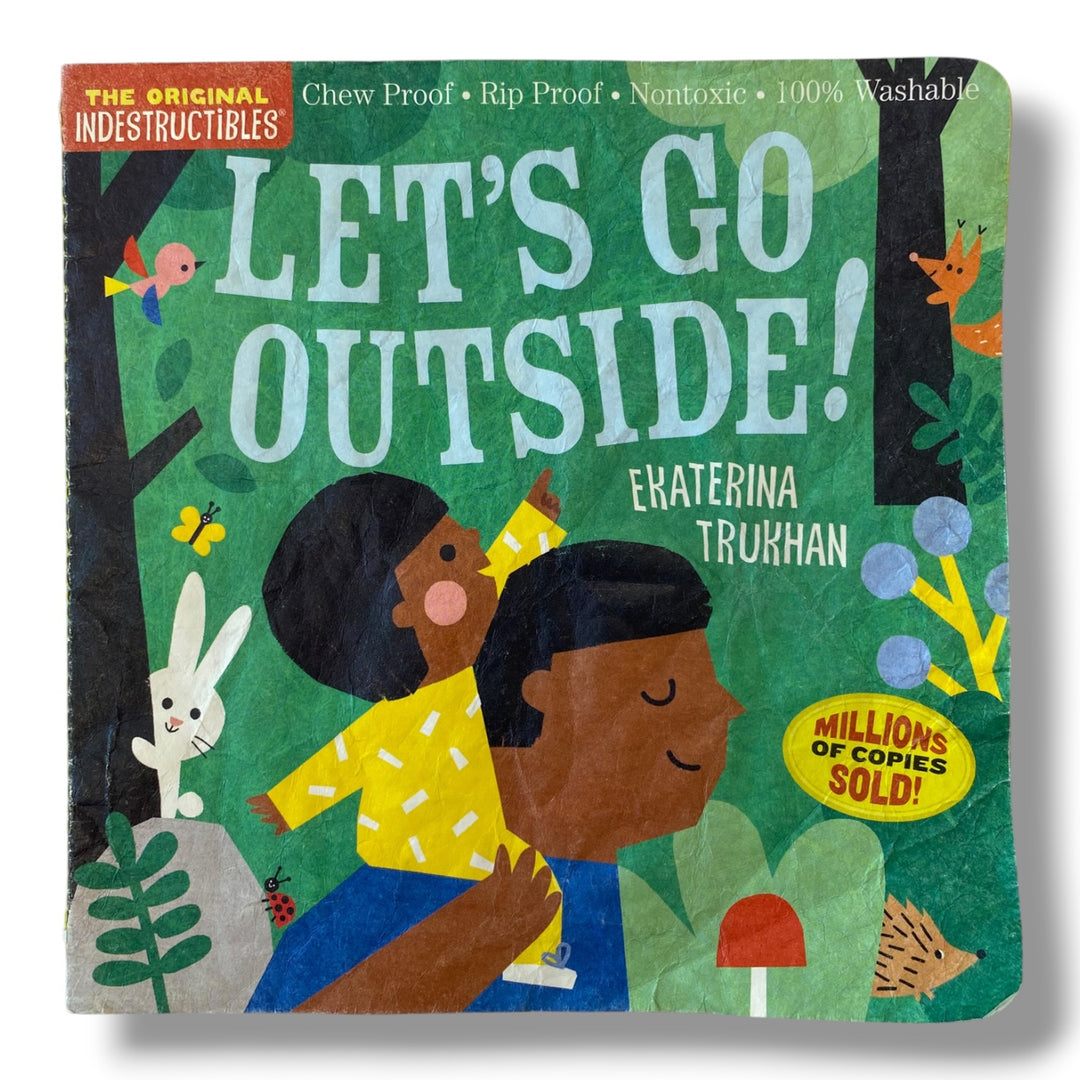 Indestructibles lets go outside book
