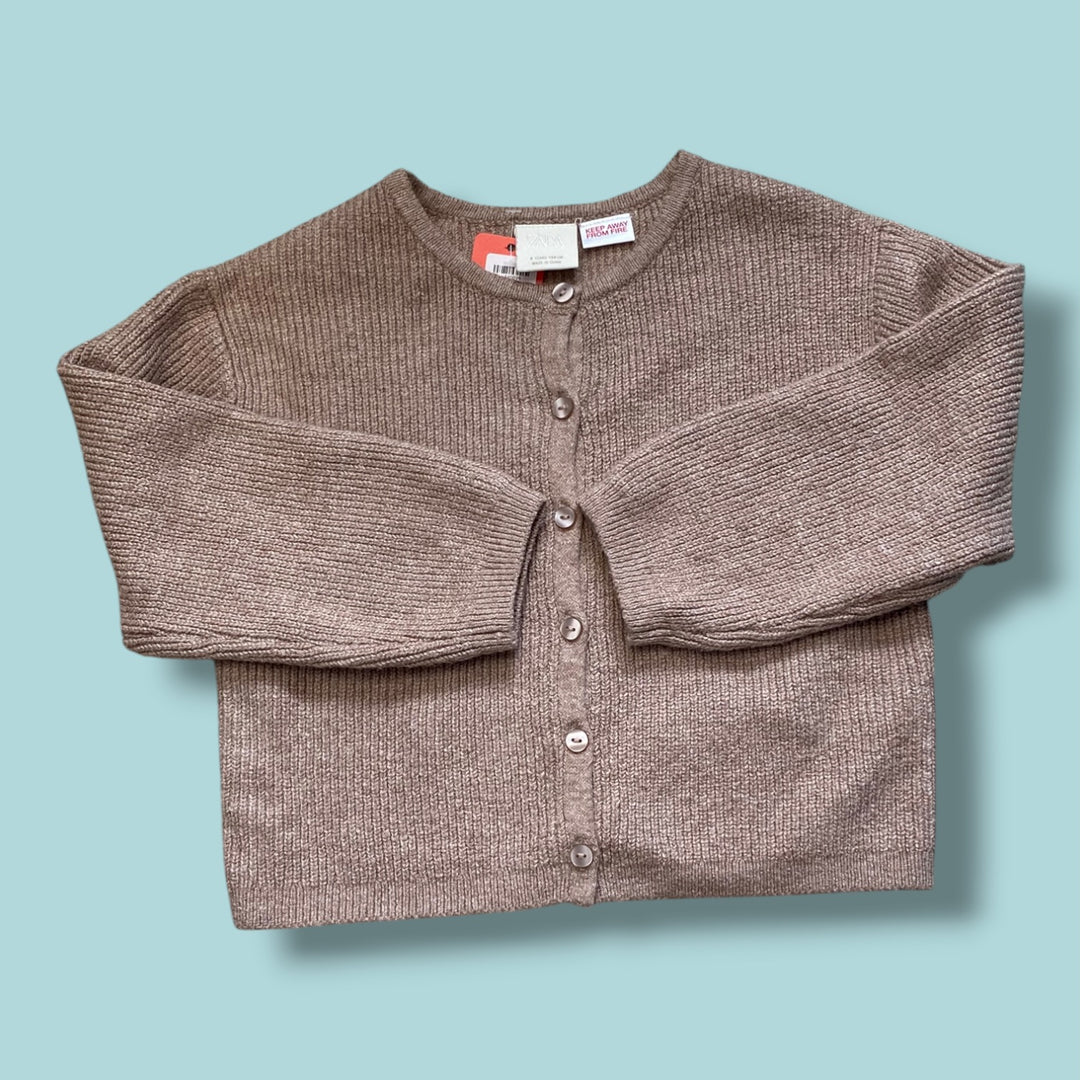 brown Zara sweater, 4Y