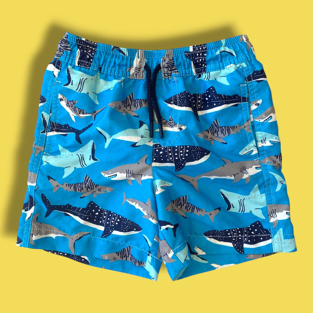 blue Hatley shark swim shorts, 3Y
