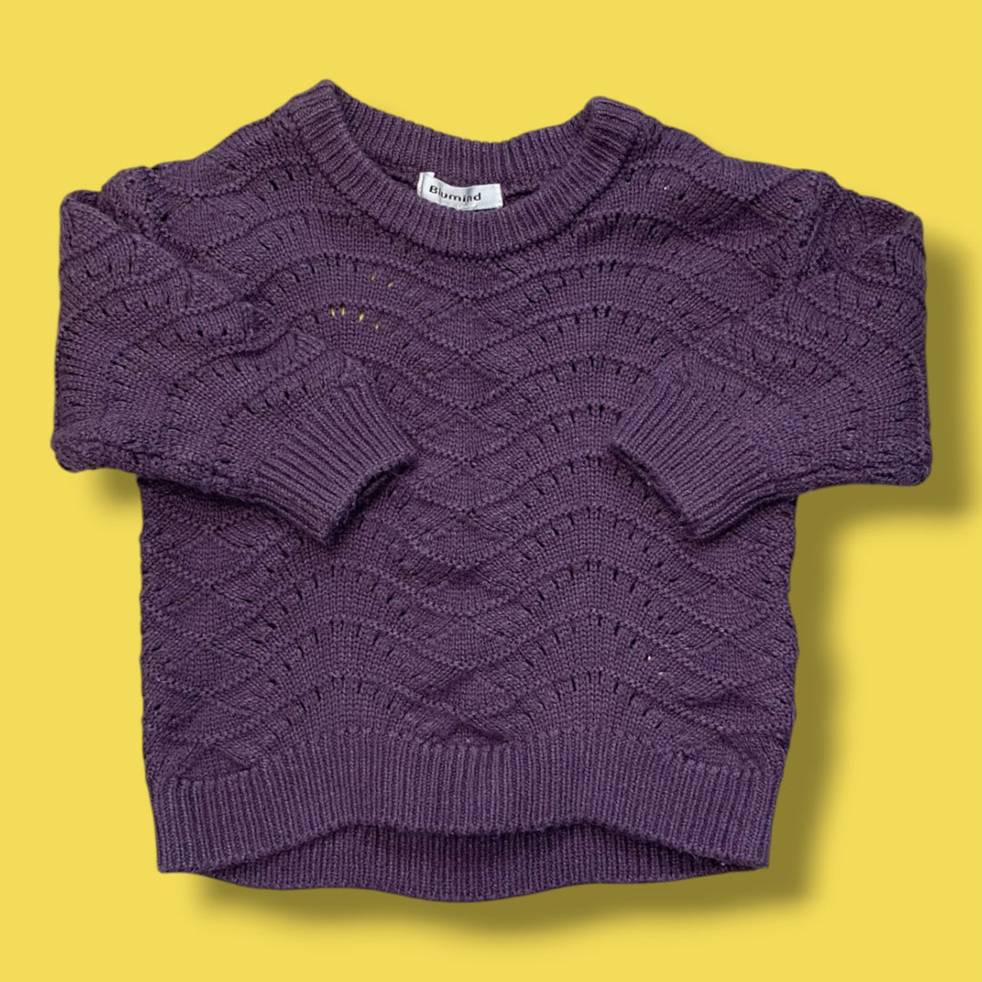 purple blumind sweater, 12m