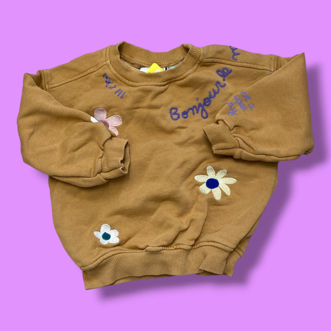 brown zara bonjour sweatshirt, 18-24m
