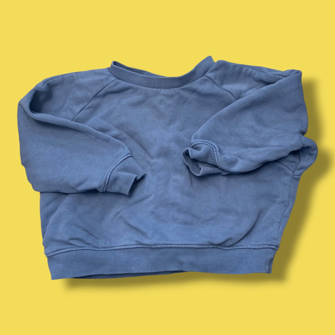 blue zara sweatshirt, 18-24m