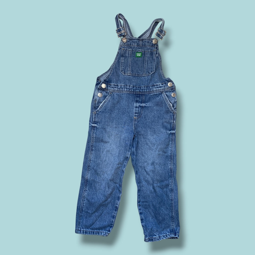 Blue Zara Denim Overalls, 5Y