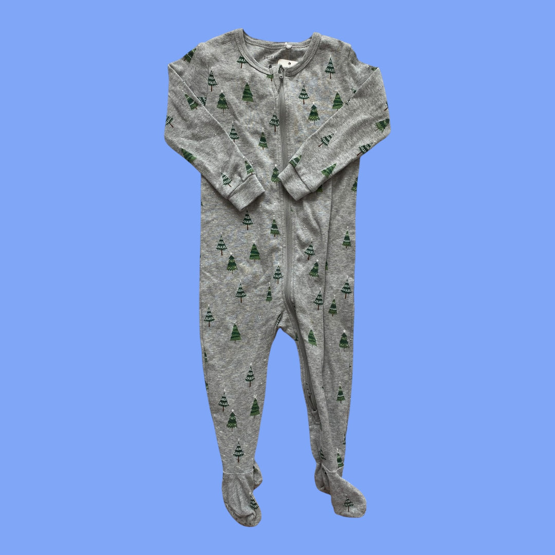 grey Petit Lem tree sleeper, 18m