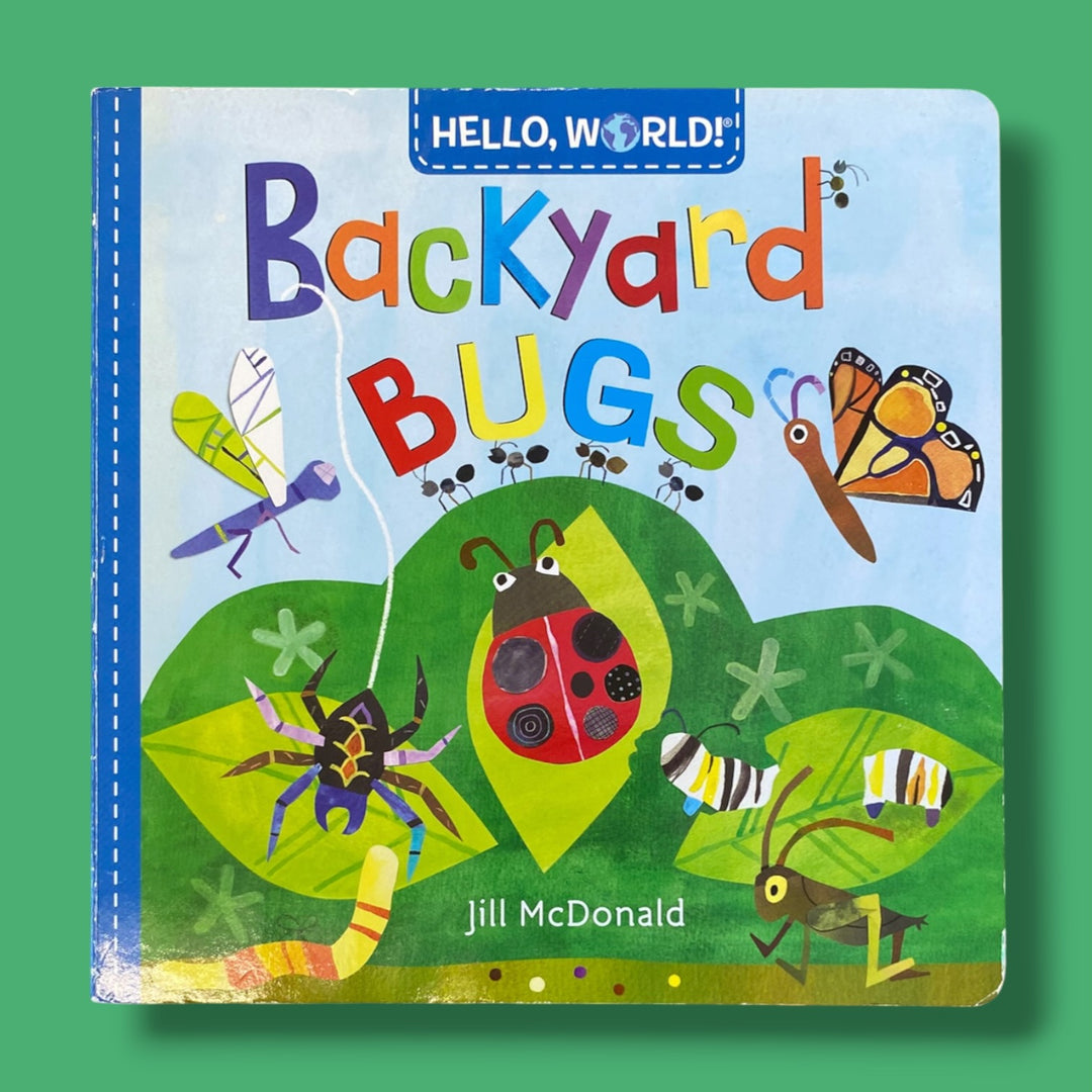 backyard bugs