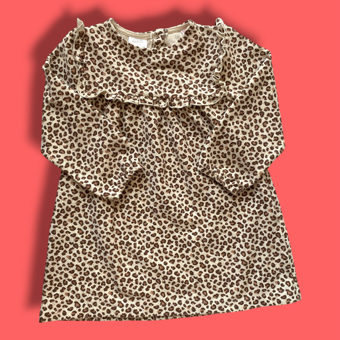 Brown Zara Dresss, 2-3Y