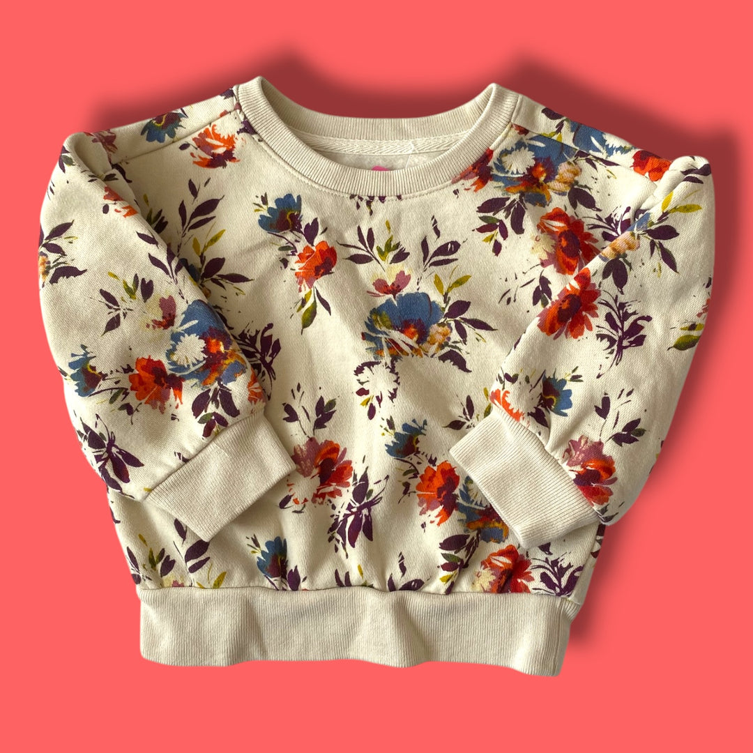 cream Gap sweatshirt, 18-24m